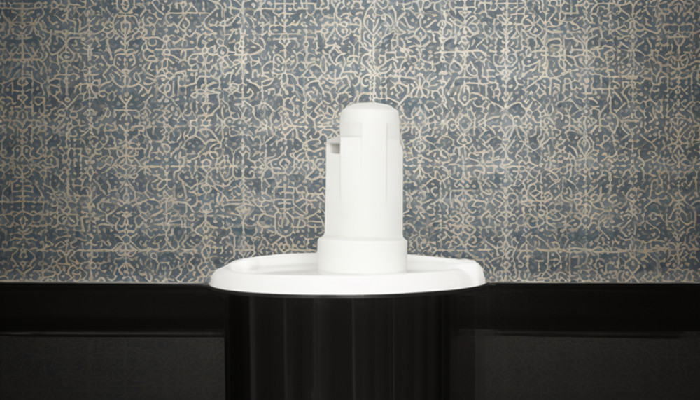 Comment fonctionnent les toilettes japonaises ?