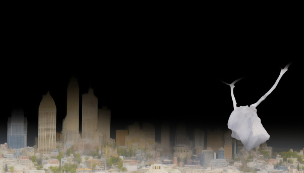 Quel moyen de transport utiliser pour partir en vacances ?